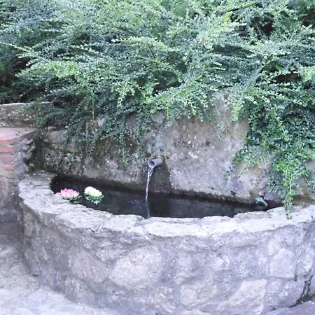 Granito * El Raso