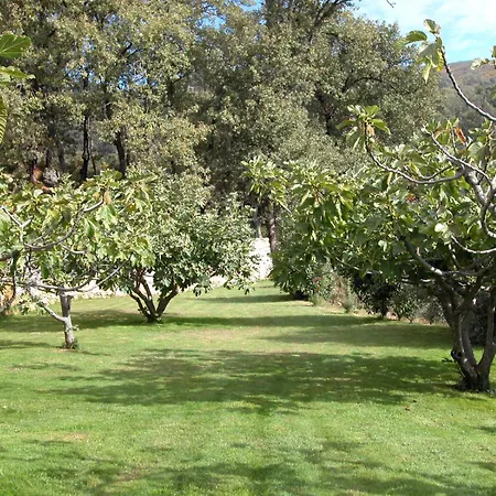 Granito El Raso